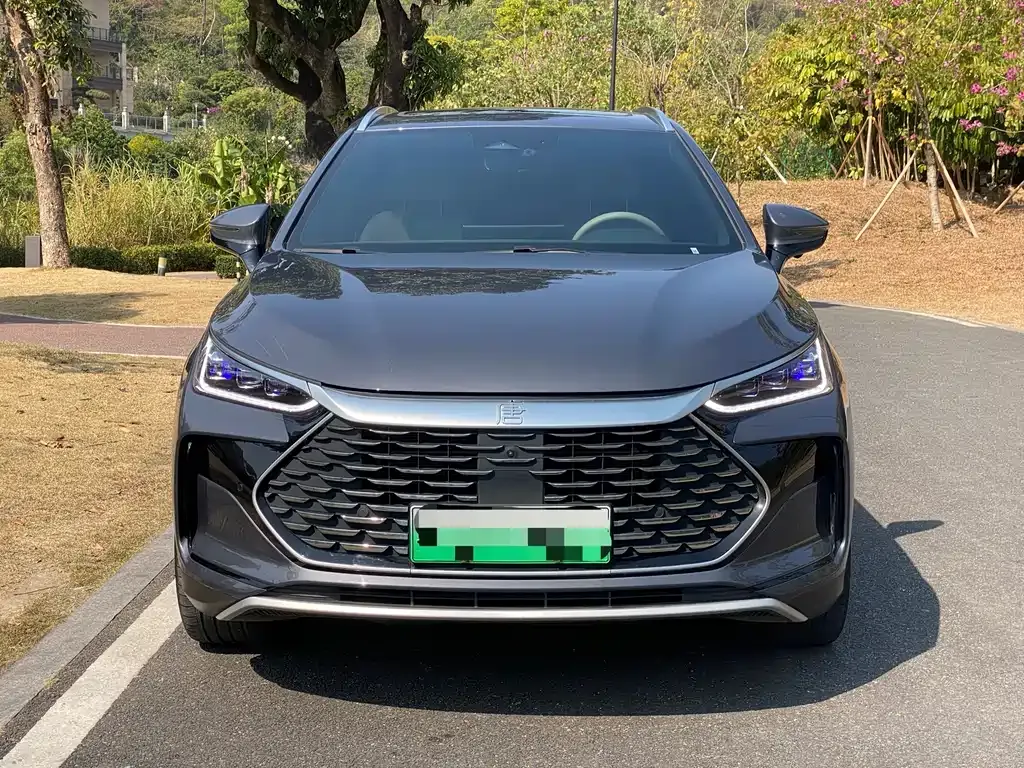 BYD Tang New Energy 2024 из CN, фото 9