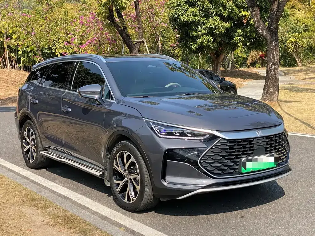 BYD Tang New Energy 2024 из CN, фото 6