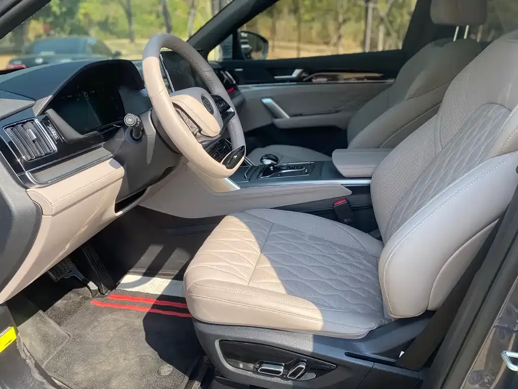 BYD Tang New Energy 2024 из CN, фото 2