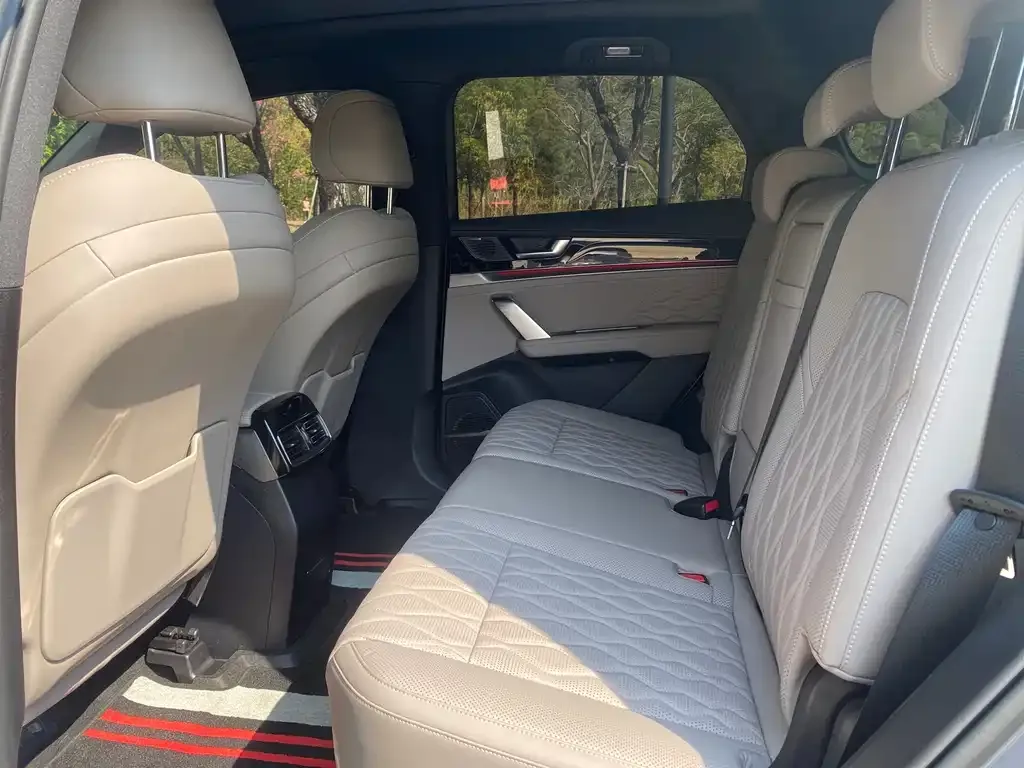 BYD Tang New Energy 2024 из CN, фото 4