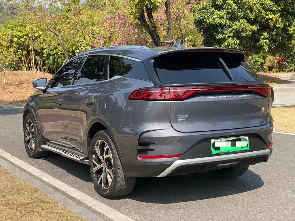 BYD Tang New Energy 2024 из CN, фото 5