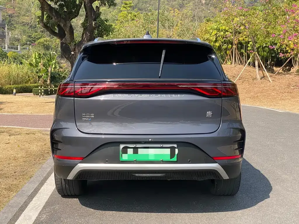 BYD Tang New Energy 2024 из CN, фото 8