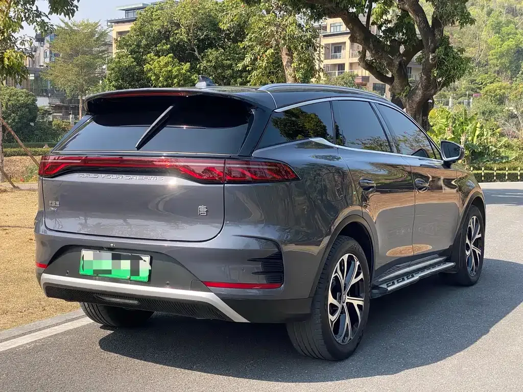 BYD Tang New Energy 2024 из CN, фото 7