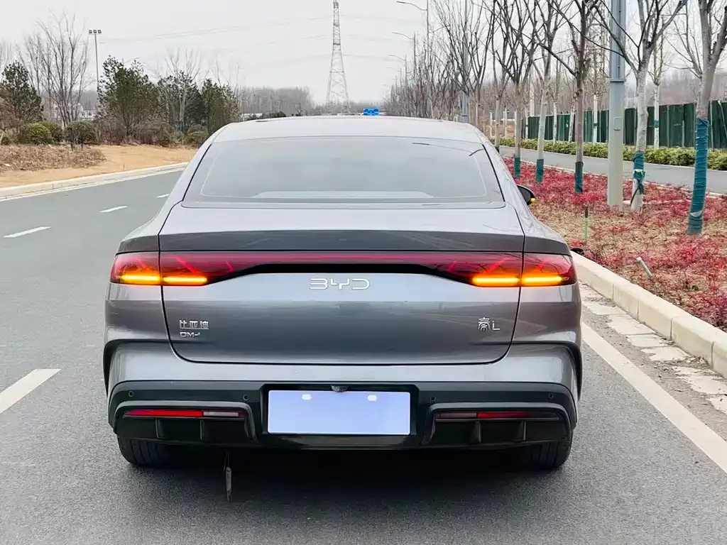 BYD Qin L 2024 из CN, фото 7
