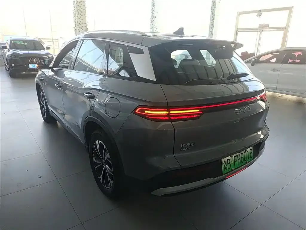 BYD Pro New Energy 2025 из CN, фото 7