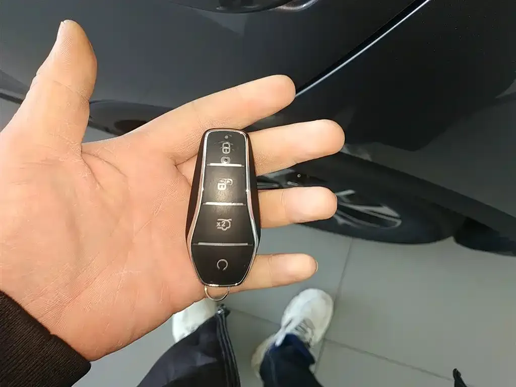 BYD Pro New Energy 2025 из CN, фото 2
