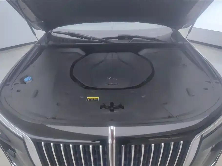 Hongqi H9 2022 из CN, фото 9