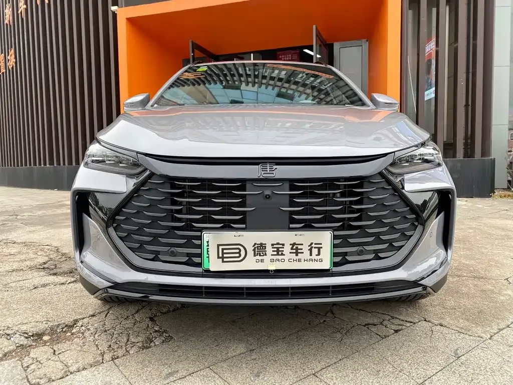 BYD Tang New Energy 2025 из CN, фото 2