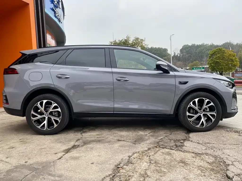 BYD Tang New Energy 2025 из CN, фото 4