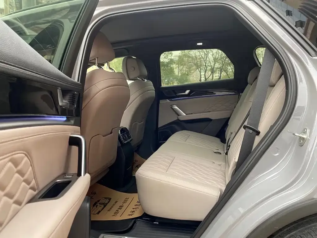 BYD Tang New Energy 2025 из CN, фото 6