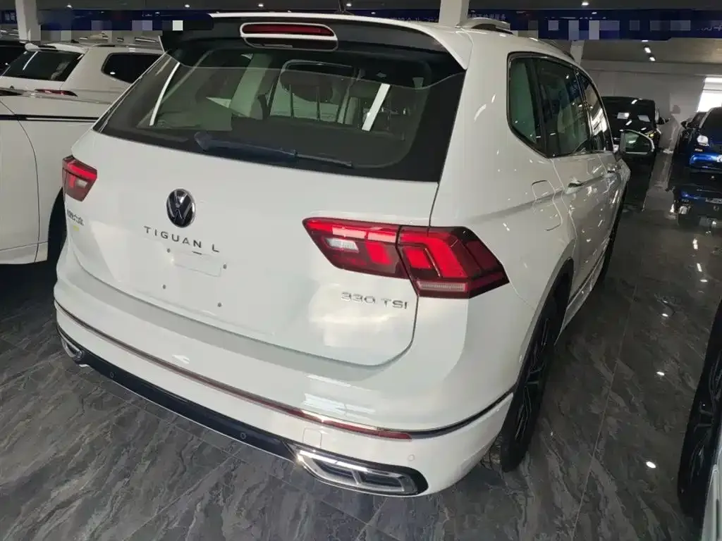 Volkswagen Tiguan L 2024 из CN, фото 5