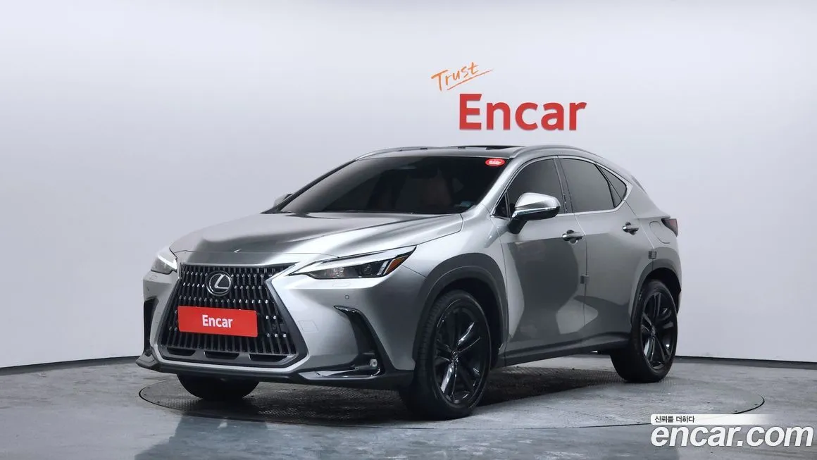 Lexus NX 2024 из KR, фото 1