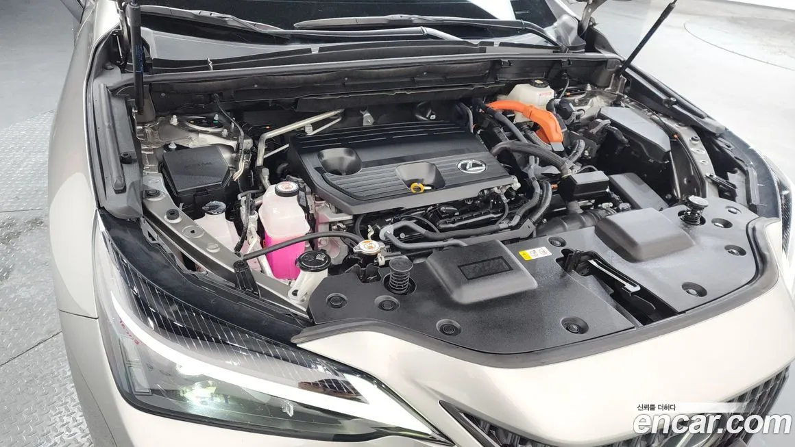 Lexus NX 2024 из KR, фото 7