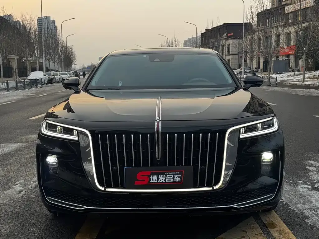 Hongqi H9 2021 из CN, фото 5