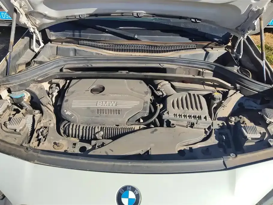 BMW X2 2022 из CN, фото 2