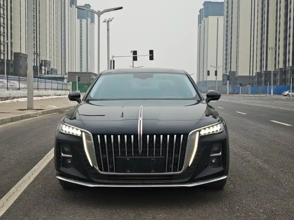 Hongqi H5 2025 из CN, фото 4