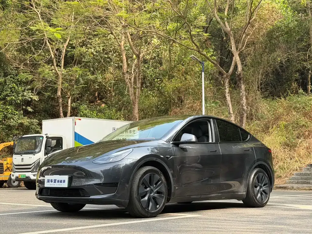 Tesla Model Y 2024 из CN, фото 1