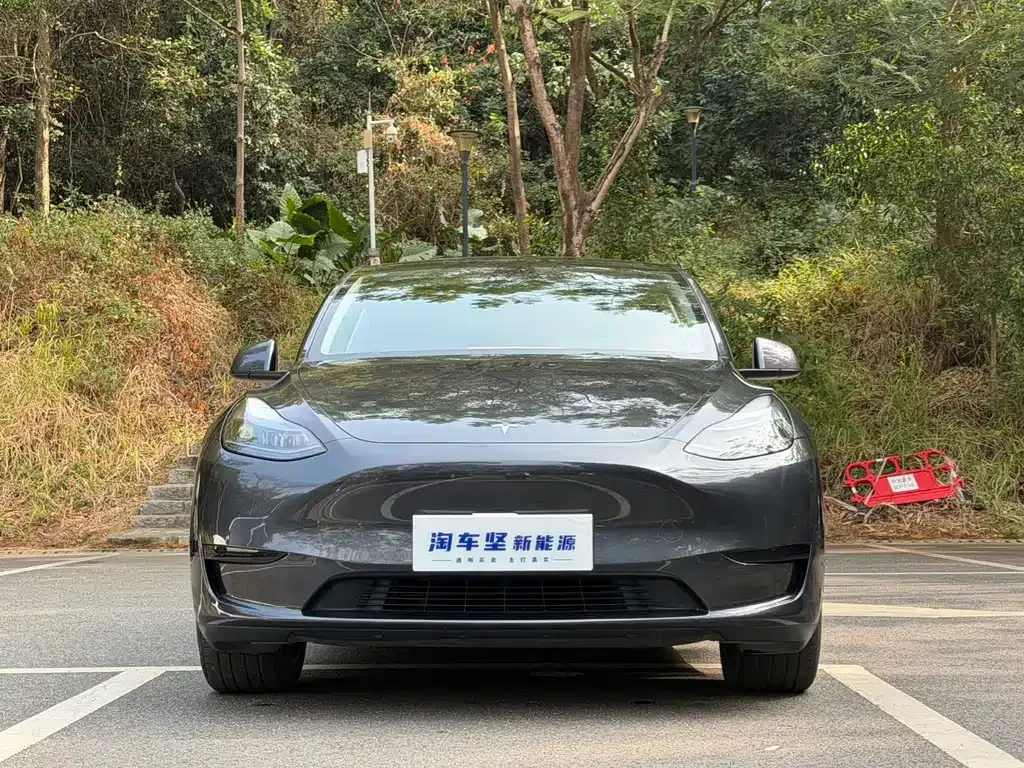Tesla Model Y 2024 из CN, фото 7