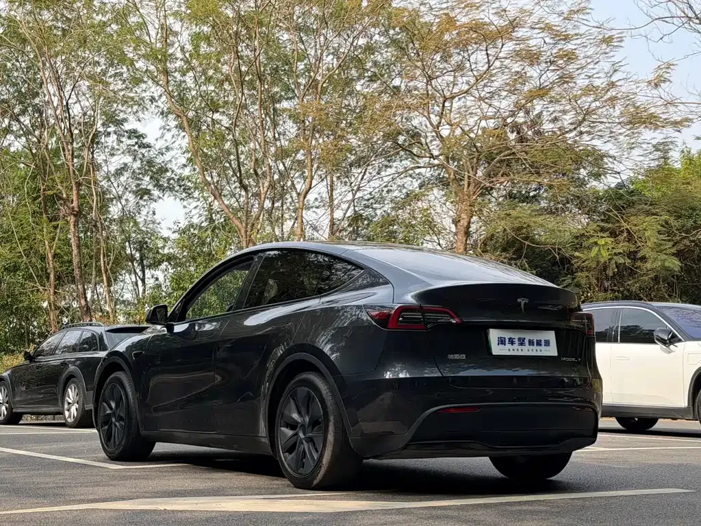 Tesla Model Y 2024 из CN, фото 6
