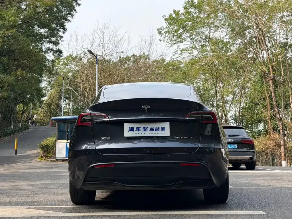 Tesla Model Y 2024 из CN, фото 4