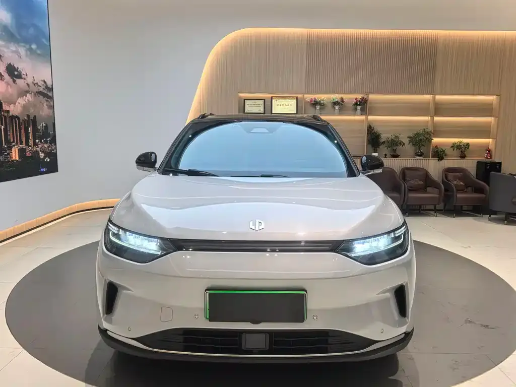 Leapmotor C11 2023 из CN, фото 6