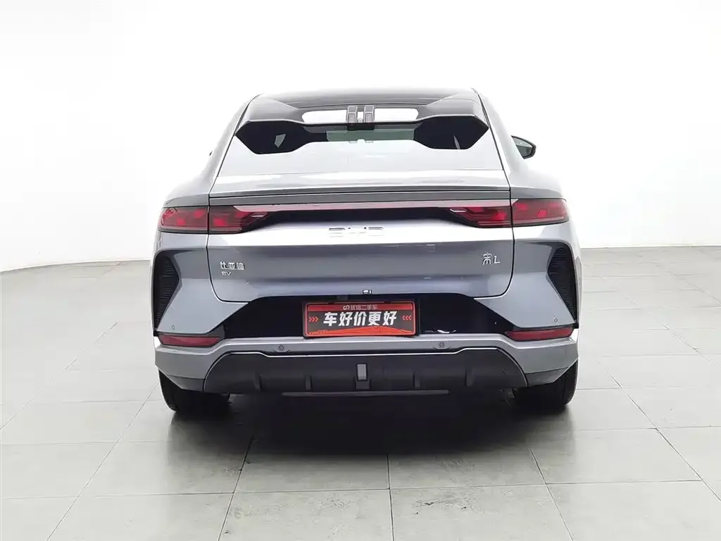 BYD L EV 2024 из CN, фото 7