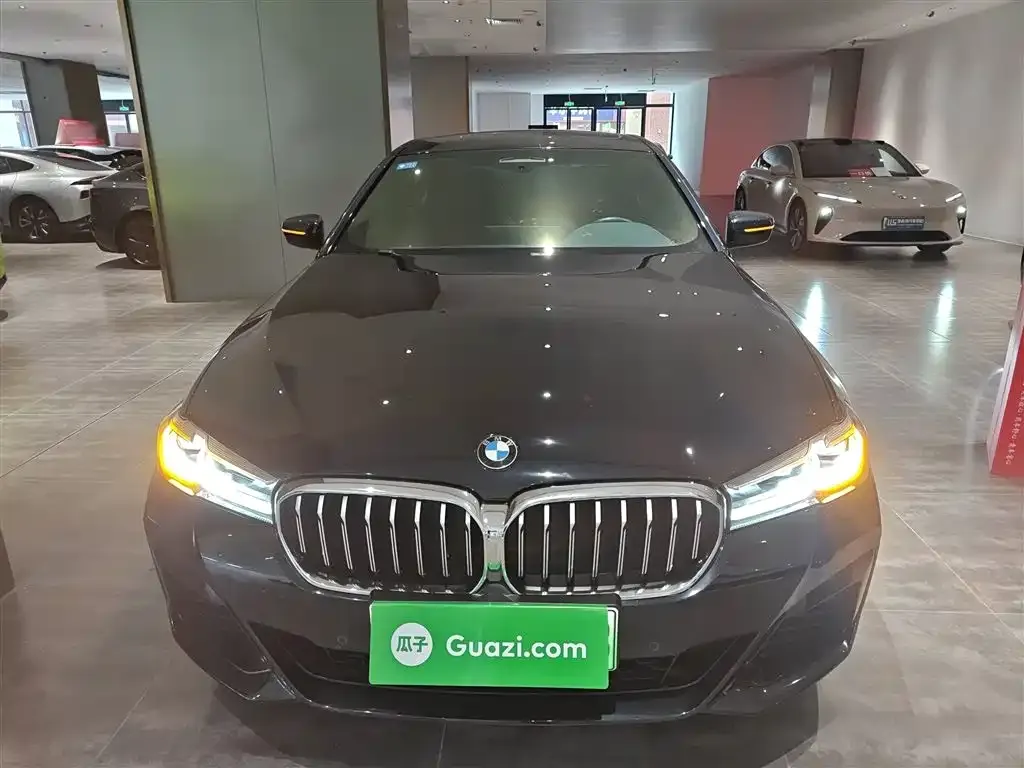 BMW 5 Series New Energy — фото 2