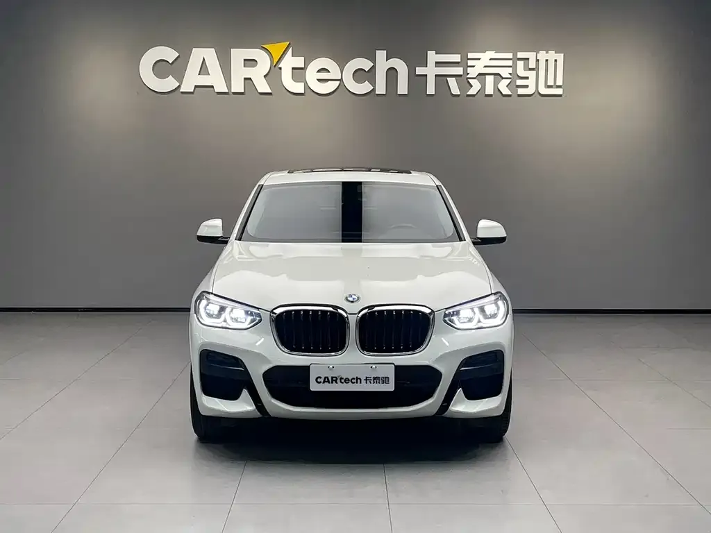 BMW X4 2021 из CN, фото 9