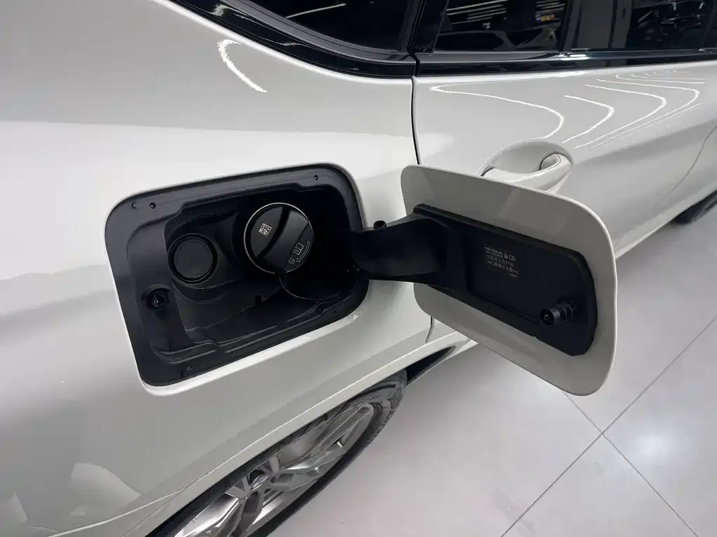 BMW X4 2021 из CN, фото 2