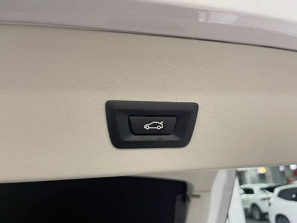 BMW X4 2021 из CN, фото 6