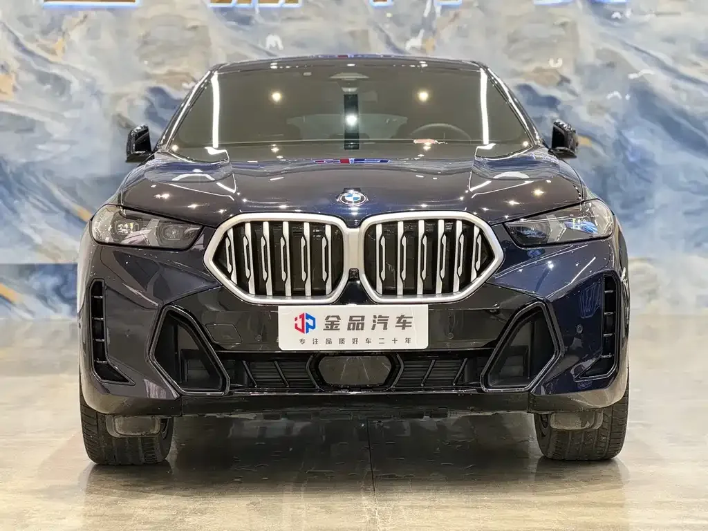 BMW X6 — фото 7