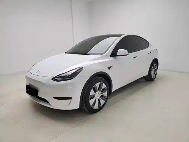 Tesla Model Y 2022 из CN, фото 1