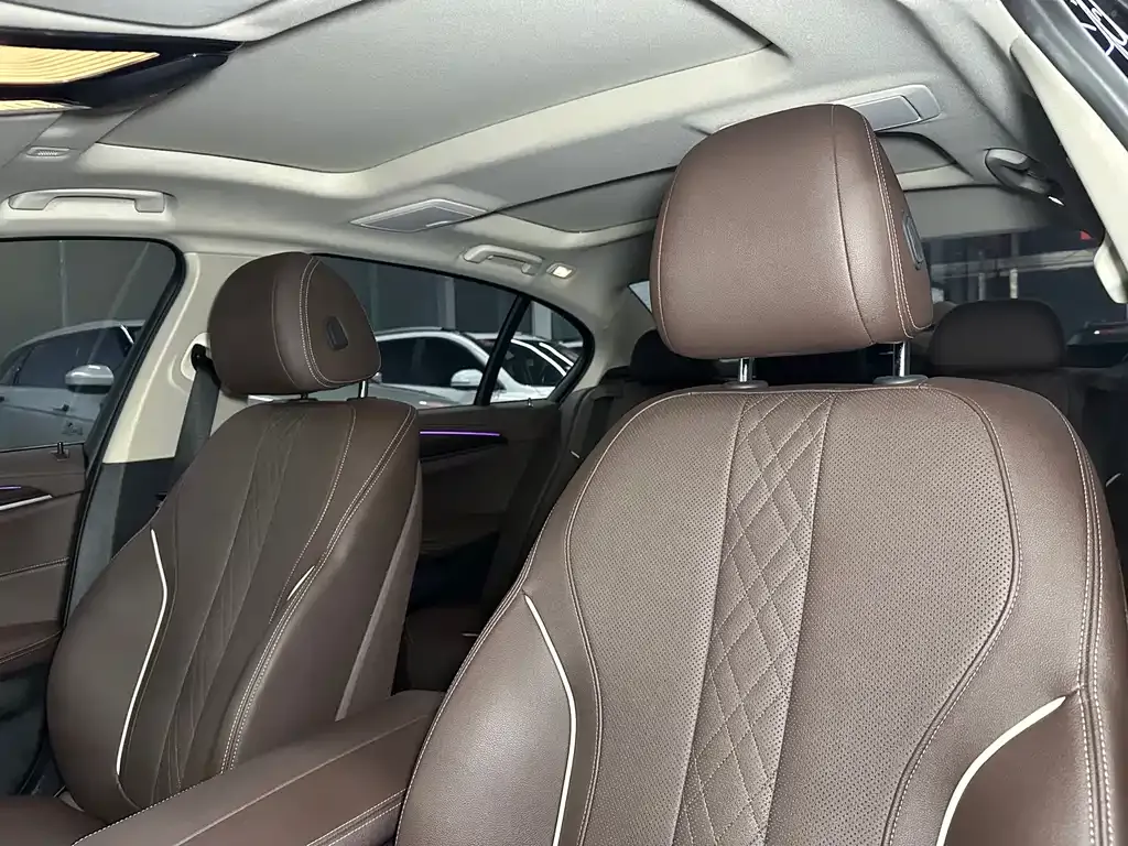 BMW 5 Series 2021 из CN, фото 9