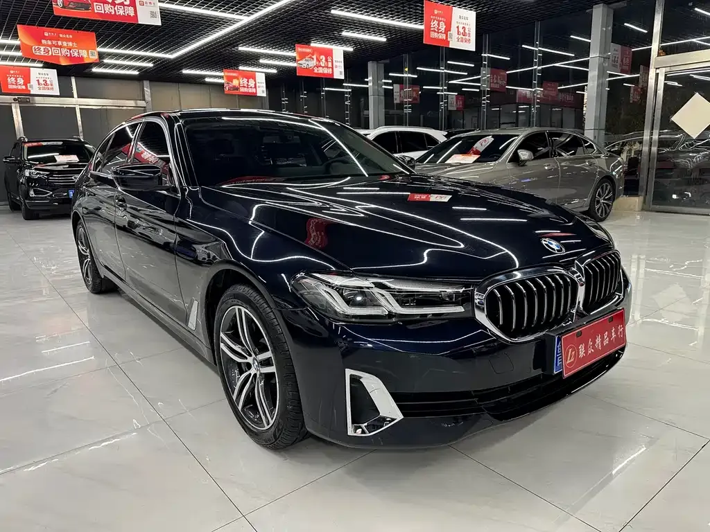 BMW 5 Series 2021 из CN, фото 4