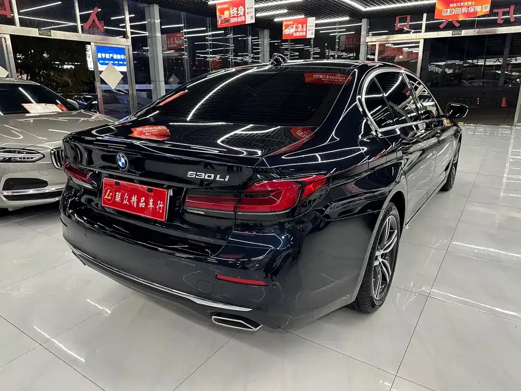 BMW 5 Series 2021 из CN, фото 7