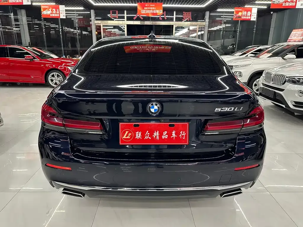 BMW 5 Series 2021 из CN, фото 5