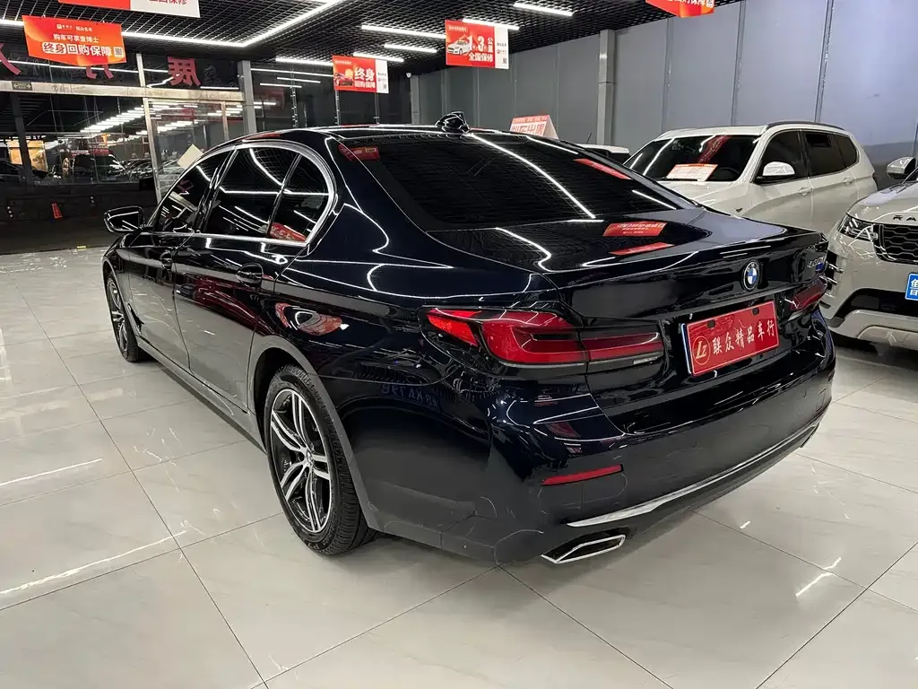 BMW 5 Series 2021 из CN, фото 3