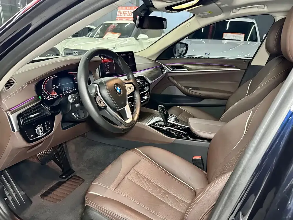 BMW 5 Series 2021 из CN, фото 8