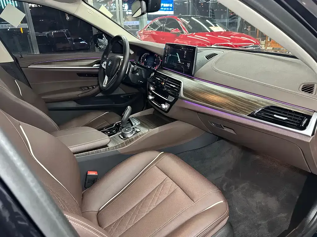 BMW 5 Series 2021 из CN, фото 10