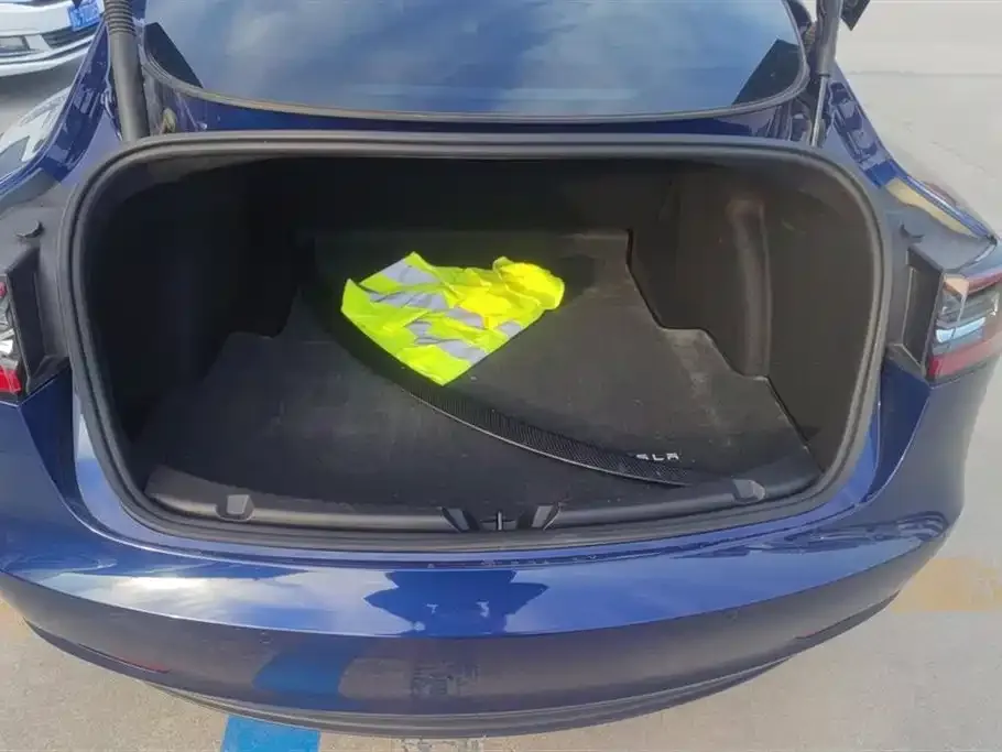 Tesla Model 3 2021 из CN, фото 3