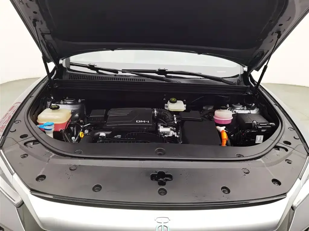 BYD Pro New Energy — фото 10
