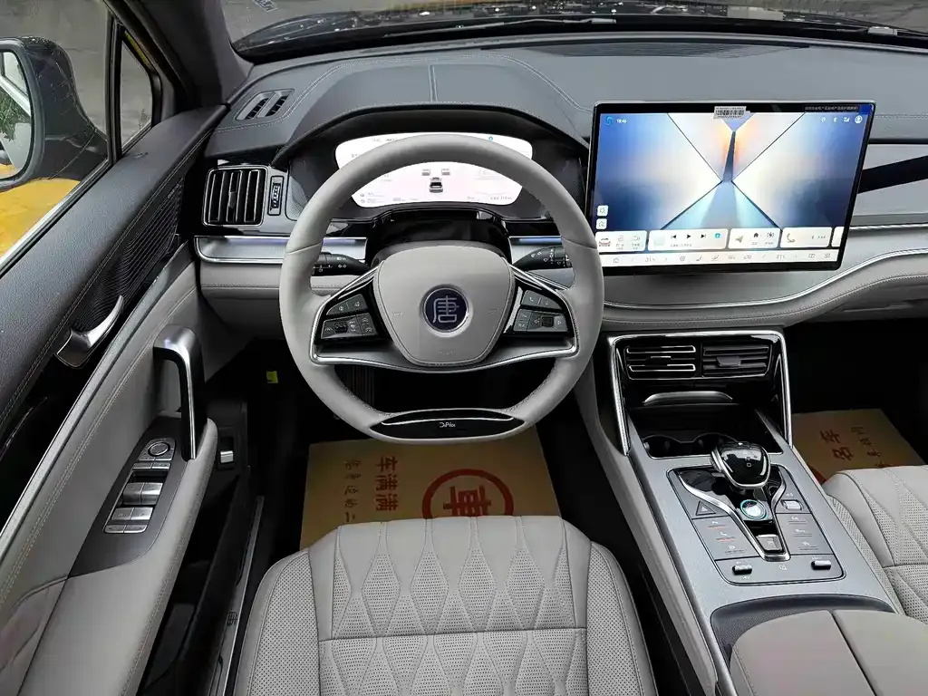BYD Tang New Energy 2025 из CN, фото 4