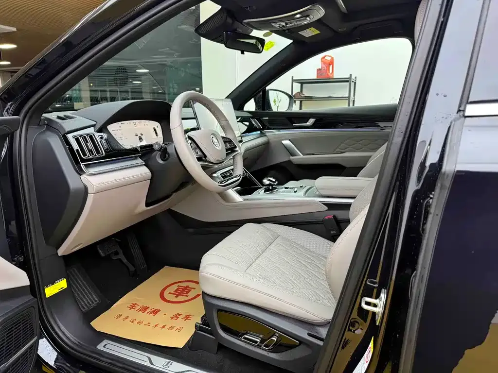BYD Tang New Energy 2025 из CN, фото 8