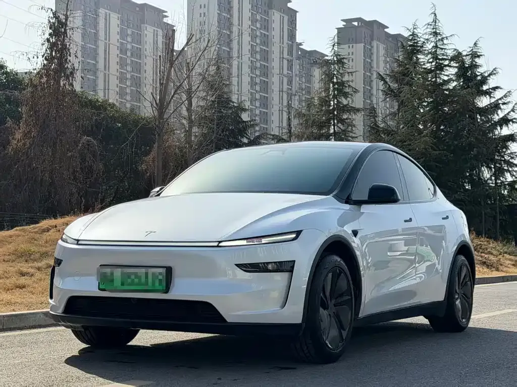 Tesla Model Y 2025 из CN, фото 1