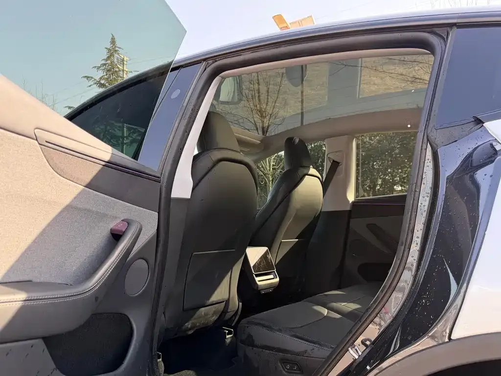 Tesla Model Y 2025 из CN, фото 8