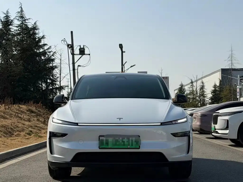 Tesla Model Y 2025 из CN, фото 2