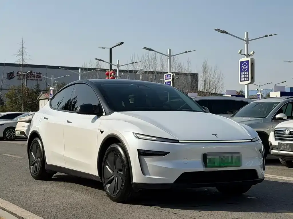 Tesla Model Y 2025 из CN, фото 7