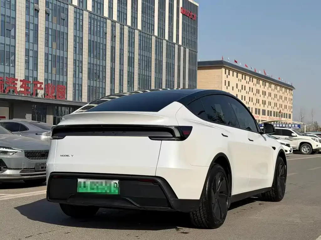 Tesla Model Y 2025 из CN, фото 6