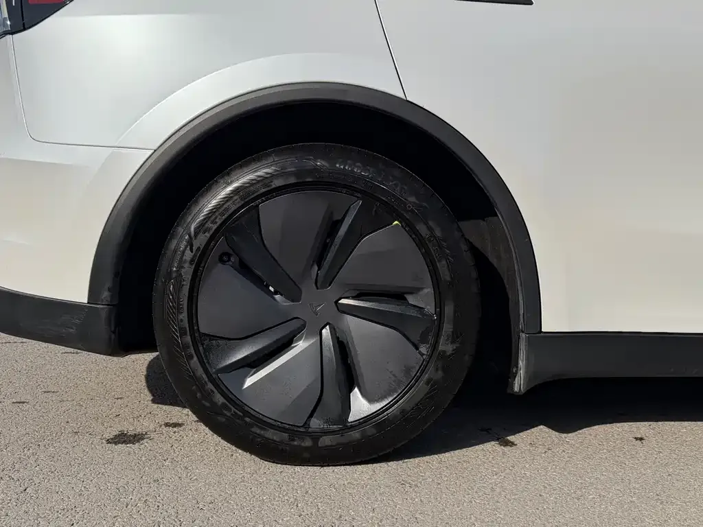 Tesla Model Y 2025 из CN, фото 3