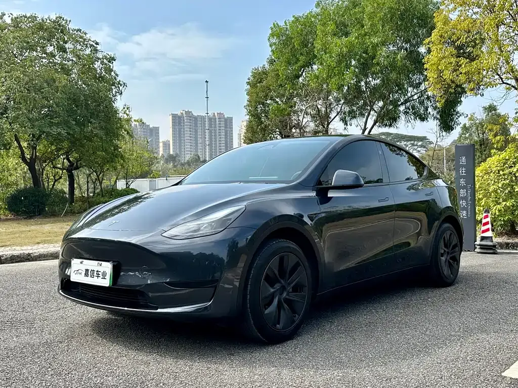 Tesla Model Y 2024 из CN, фото 1